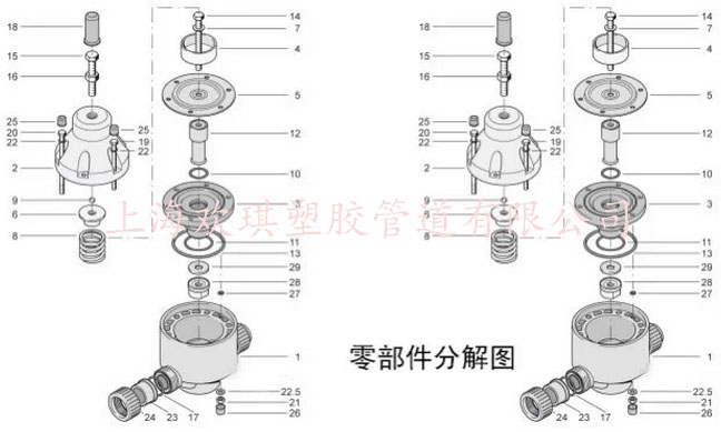 背壓閥分解圖 背壓閥分解圖